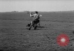 Image of Cattle released Holland Netherlands, 1959, second 17 stock footage video 65675043374