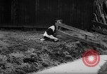 Image of Cattle released Holland Netherlands, 1959, second 33 stock footage video 65675043374
