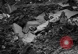 Image of Landslide Nicolet Quebec, 1955, second 60 stock footage video 65675043378