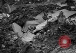 Image of Landslide Nicolet Quebec, 1955, second 61 stock footage video 65675043378