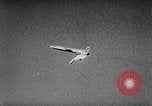Image of Supersonic Missile Florida United States USA, 1957, second 34 stock footage video 65675043384