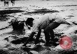 Standbild Fischzucht Niederländisch Guayana, 1957, aus Sekunde 9 historischem Filmmaterial Videoclip 65675043389