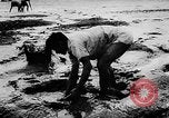 Standbild Fischzucht Niederländisch Guayana, 1957, aus Sekunde 10 historischem Filmmaterial Videoclip 65675043389
