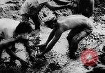 Standbild Fischzucht Niederländisch Guayana, 1957, aus Sekunde 17 historischem Filmmaterial Videoclip 65675043389