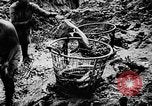 Standbild Fischzucht Niederländisch Guayana, 1957, aus Sekunde 20 historischem Filmmaterial Videoclip 65675043389