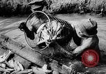 Standbild Fischzucht Niederländisch Guayana, 1957, aus Sekunde 25 historischem Filmmaterial Videoclip 65675043389