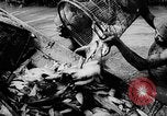 Standbild Fischzucht Niederländisch Guayana, 1957, aus Sekunde 27 historischem Filmmaterial Videoclip 65675043389