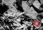 Standbild Fischzucht Niederländisch Guayana, 1957, aus Sekunde 28 historischem Filmmaterial Videoclip 65675043389
