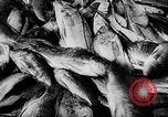 Standbild Fischzucht Niederländisch Guayana, 1957, aus Sekunde 33 historischem Filmmaterial Videoclip 65675043389
