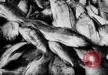 Standbild Fischzucht Niederländisch Guayana, 1957, aus Sekunde 34 historischem Filmmaterial Videoclip 65675043389