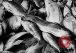 Standbild Fischzucht Niederländisch Guayana, 1957, aus Sekunde 35 historischem Filmmaterial Videoclip 65675043389