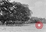 Image of Hitler Youth Poland, 1940, second 42 stock footage video 65675043394