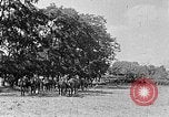 Image of Hitler Youth Poland, 1940, second 43 stock footage video 65675043394