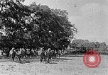 Image of Hitler Youth Poland, 1940, second 45 stock footage video 65675043394