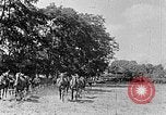 Image of Hitler Youth Poland, 1940, second 48 stock footage video 65675043394