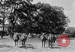 Image of Hitler Youth Poland, 1940, second 50 stock footage video 65675043394