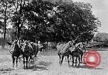 Image of Hitler Youth Poland, 1940, second 53 stock footage video 65675043394
