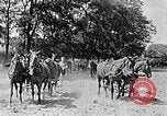 Image of Hitler Youth Poland, 1940, second 54 stock footage video 65675043394