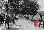 Image of Hitler Youth Poland, 1940, second 56 stock footage video 65675043394
