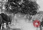 Image of Hitler Youth Poland, 1940, second 59 stock footage video 65675043394