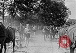 Image of Hitler Youth Poland, 1940, second 60 stock footage video 65675043394