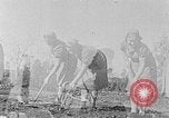 Standbild Hitler Jugend Polen, 1940, aus Sekunde 1 historischem Filmmaterial Videoclip 65675043395