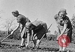 Standbild Hitler Jugend Polen, 1940, aus Sekunde 5 historischem Filmmaterial Videoclip 65675043395