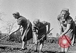 Standbild Hitler Jugend Polen, 1940, aus Sekunde 6 historischem Filmmaterial Videoclip 65675043395