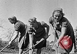 Standbild Hitler Jugend Polen, 1940, aus Sekunde 10 historischem Filmmaterial Videoclip 65675043395