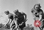 Standbild Hitler Jugend Polen, 1940, aus Sekunde 11 historischem Filmmaterial Videoclip 65675043395