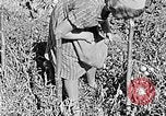 Standbild Hitler Jugend Polen, 1940, aus Sekunde 12 historischem Filmmaterial Videoclip 65675043395