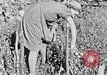 Standbild Hitler Jugend Polen, 1940, aus Sekunde 13 historischem Filmmaterial Videoclip 65675043395