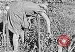 Standbild Hitler Jugend Polen, 1940, aus Sekunde 14 historischem Filmmaterial Videoclip 65675043395
