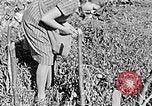Standbild Hitler Jugend Polen, 1940, aus Sekunde 16 historischem Filmmaterial Videoclip 65675043395
