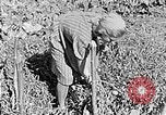 Standbild Hitler Jugend Polen, 1940, aus Sekunde 17 historischem Filmmaterial Videoclip 65675043395