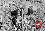 Standbild Hitler Jugend Polen, 1940, aus Sekunde 18 historischem Filmmaterial Videoclip 65675043395