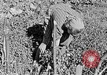 Standbild Hitler Jugend Polen, 1940, aus Sekunde 19 historischem Filmmaterial Videoclip 65675043395
