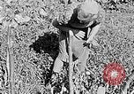 Standbild Hitler Jugend Polen, 1940, aus Sekunde 20 historischem Filmmaterial Videoclip 65675043395