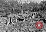 Standbild Hitler Jugend Polen, 1940, aus Sekunde 23 historischem Filmmaterial Videoclip 65675043395