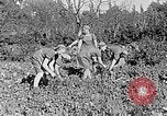 Standbild Hitler Jugend Polen, 1940, aus Sekunde 24 historischem Filmmaterial Videoclip 65675043395