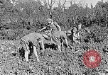 Standbild Hitler Jugend Polen, 1940, aus Sekunde 25 historischem Filmmaterial Videoclip 65675043395