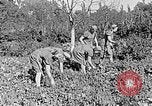 Standbild Hitler Jugend Polen, 1940, aus Sekunde 26 historischem Filmmaterial Videoclip 65675043395