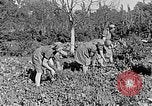 Standbild Hitler Jugend Polen, 1940, aus Sekunde 27 historischem Filmmaterial Videoclip 65675043395