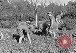 Standbild Hitler Jugend Polen, 1940, aus Sekunde 28 historischem Filmmaterial Videoclip 65675043395