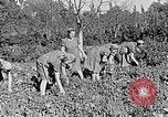 Standbild Hitler Jugend Polen, 1940, aus Sekunde 29 historischem Filmmaterial Videoclip 65675043395