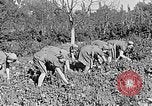 Standbild Hitler Jugend Polen, 1940, aus Sekunde 30 historischem Filmmaterial Videoclip 65675043395