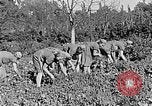 Standbild Hitler Jugend Polen, 1940, aus Sekunde 31 historischem Filmmaterial Videoclip 65675043395