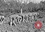Standbild Hitler Jugend Polen, 1940, aus Sekunde 32 historischem Filmmaterial Videoclip 65675043395