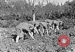 Standbild Hitler Jugend Polen, 1940, aus Sekunde 33 historischem Filmmaterial Videoclip 65675043395