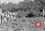 Standbild Hitler Jugend Polen, 1940, aus Sekunde 34 historischem Filmmaterial Videoclip 65675043395